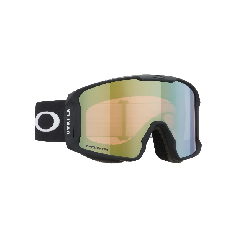 Matte Black / Prizm Sage Gold