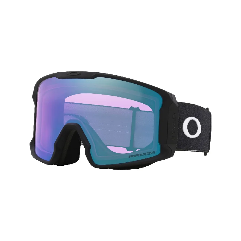 Matte Black / Prizm Iced Iridium