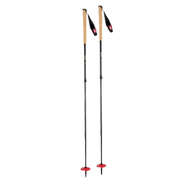 Price Rollback DPS Carbon UL Adjustable Pole
