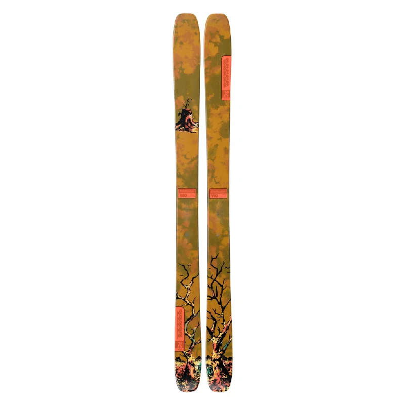 Today’s Special Reckoner 110 skis 2025