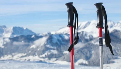 Ski Poles  